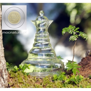 Karafka Golden Delicate ze złotym kwiatem życia 0,5 L