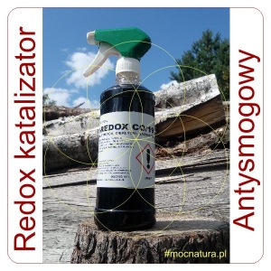 Inwex Redox CO/19 katalizator do paliw 0,5 L
