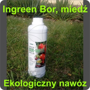 Eko nawóz Ingreen Bor - miedź 1L inwex